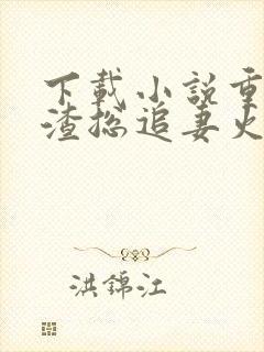 下载小说重生后渣总追妻火葬场