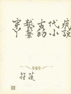 穿越古代疯狂买丫鬟的小说