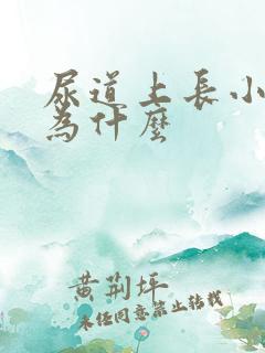 尿道上长小水泡为什么