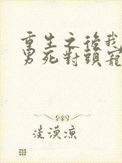 重生之后我被渣男死对头宠上天