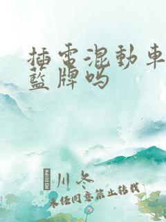 插电混动车能上蓝牌吗