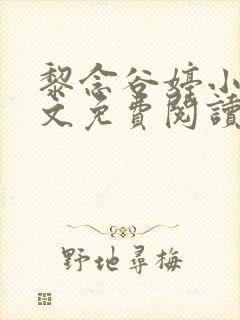 黎念谷婷小说全文免费阅读最新章节