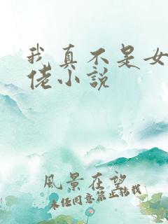 我真不是女装大佬小说