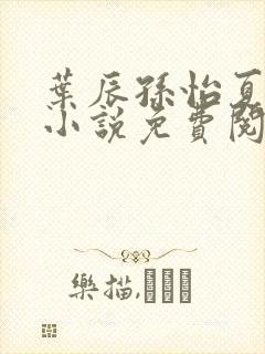 叶辰孙怡夏若雪小说免费阅读全文