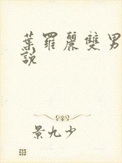 叶罗丽双男主小说