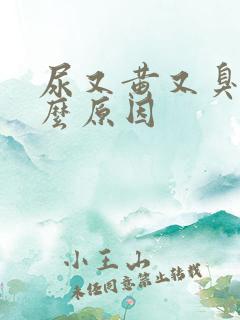 尿又黄又臭是什么原因