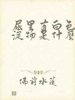 尿里有白色的沉淀物是什么原因