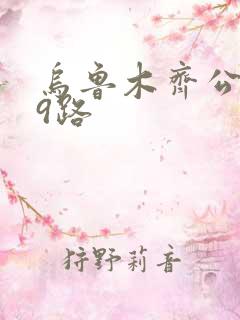 乌鲁木齐公交29路