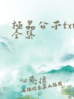 极品公子txt全集