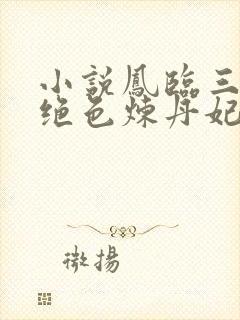 小说凤临三界:绝色炼丹妃