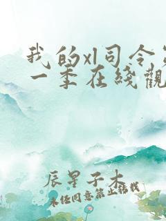 我的xl司令第一季在线观看