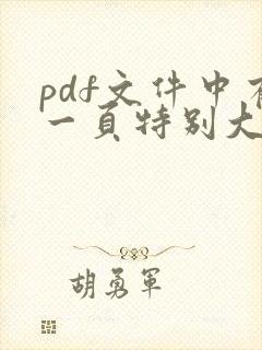 pdf文件中有一页特别大如何调整