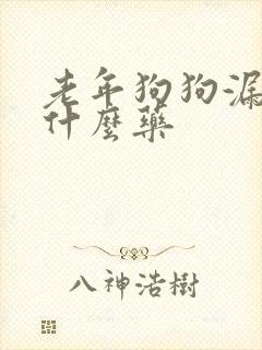 老年狗狗漏尿吃什么药