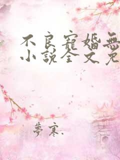 不良宠婚无删减小说全文免费阅读