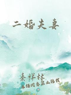 二婚夫妻