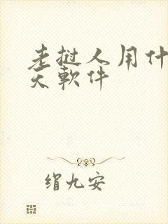 老挝人用什么聊天软件