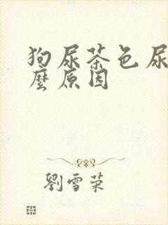 狗尿茶色尿是什么原因