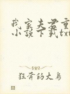 我家夫君重生了小说下载txt