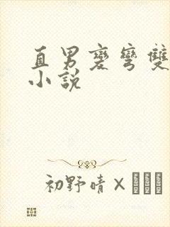 直男变弯双男主小说