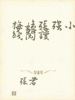 梅姨张强小说在线阅读