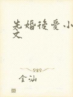 先婚后爱小说甜文