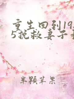 重生回到1985挽救妻子和女儿