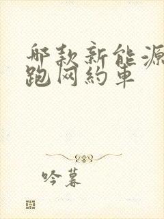 哪款新能源适合跑网约车