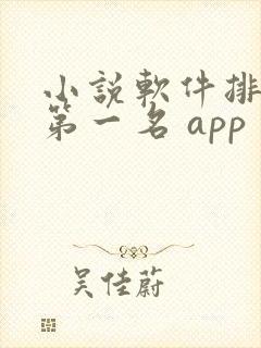 小说软件排行榜第一名 app