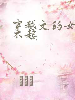 穿越文的女主伤不起