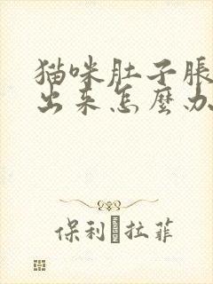 猫咪肚子胀尿不出来怎么办