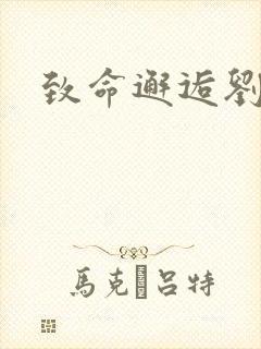 致命邂逅刘小寐