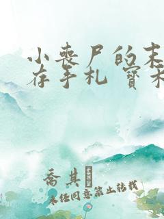 小丧尸的末世生存手札 宝禾先生