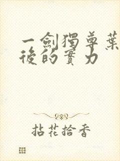 一剑独尊叶玄最后的实力