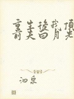 重生后我顶替了前夫白月光l小说