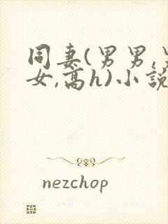 同妻(男男,男女,高h)小说