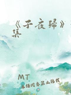 《子夜归》31集