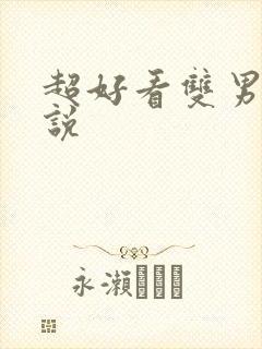 超好看双男主小说