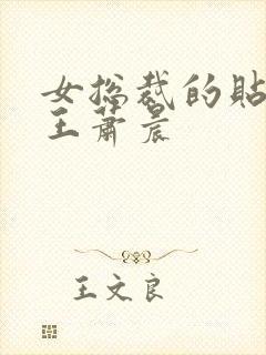 女总裁的贴身兵王萧晨