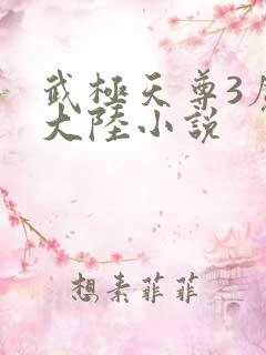 武极天尊3魔方大陆小说