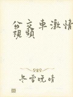 公交车激情后入视频