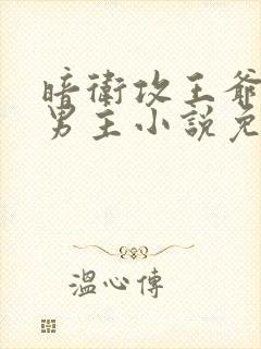 暗卫攻王爷受双男主小说免费阅读