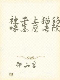 被子上猫的尿骚味怎么去除