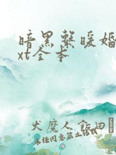 暗黑系暖婚 txt全本