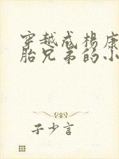 穿越成杨康双胞胎兄弟的小说