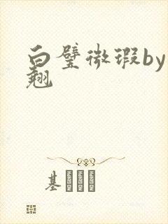 白璧微瑕by连翘