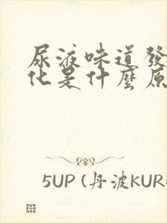 尿液味道发生变化是什么原因