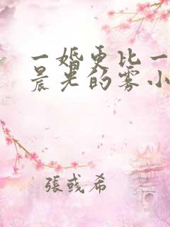 一婚更比一婚高晨光的雾小说