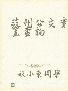 苏州公交实时位置查询