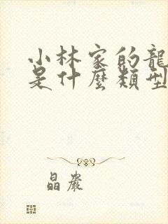 小林家的龙女仆是什么类型的番