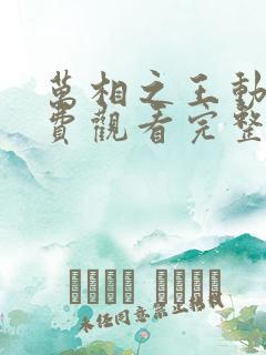 万相之王动漫免费观看完整版高清